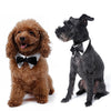 Dog Bow Tie Collar